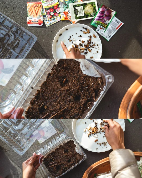 Did you started seeds for your summer kitchen garden? It’s not late. Read through my experience and little tips.